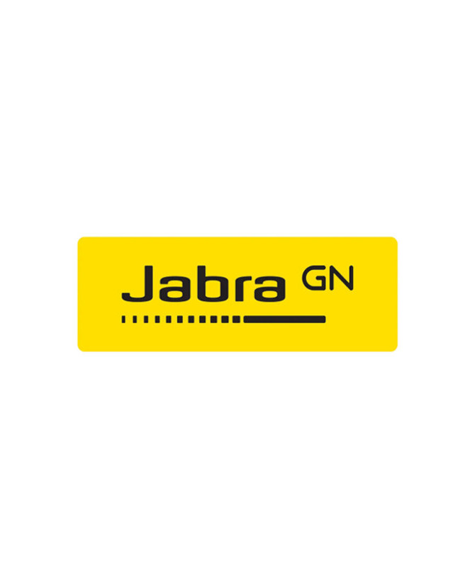 Buy Jabra Power Extension Kit 14174-00 for Speak 810